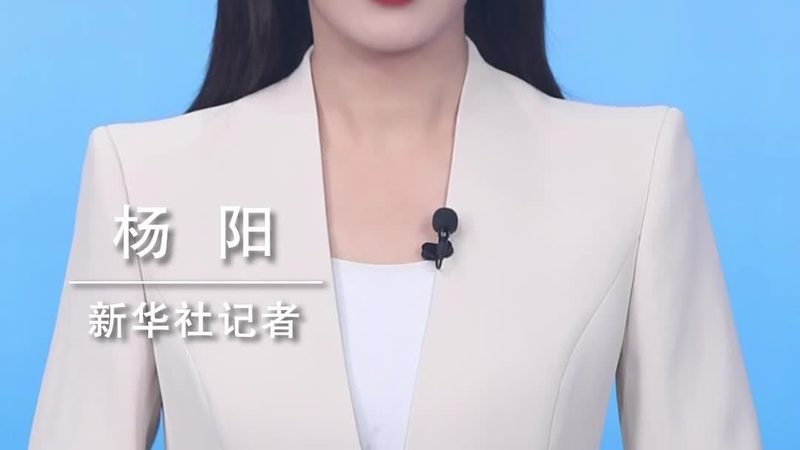 中小企业与大型企业数字化转型之路：差异与策略